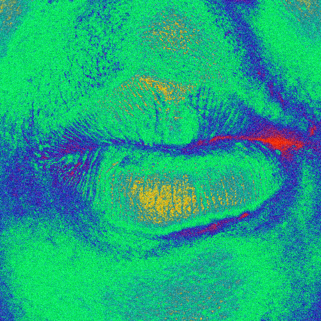 kiss of death cover art