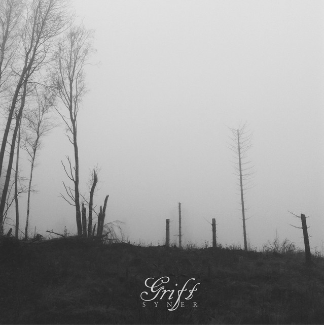 Syner cover art