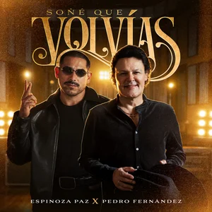 Soñé que volvías