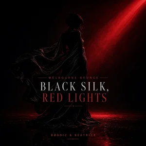 Plateomslag — Black Silk Red Lights