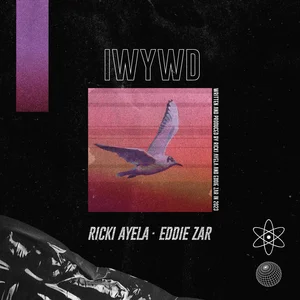 IWYWD (Remix) cover artwork