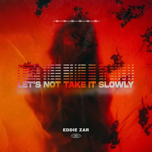 Let's Not Take It Slowly cover artwork
