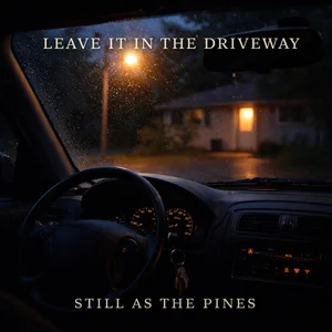Leave it in the Driveway cover