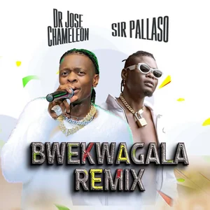 Bwenkwagala (Remix) cover art