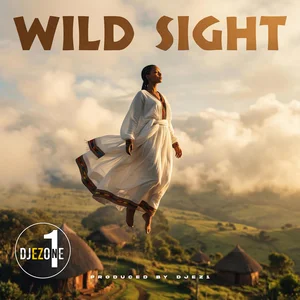 Wild Sight cover