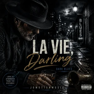 Plattencover: La Vie, Darling – Jomotionsmusik