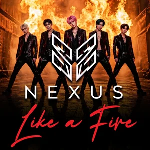 Like a Fire cover art