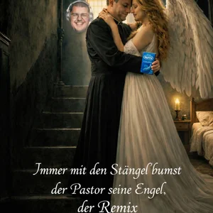 Cover: Immer mit den Stängel (Remix)