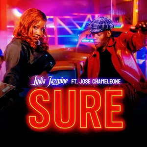 Sure cover art