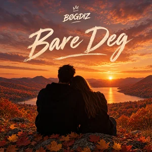 Plateomslag — Bare Deg