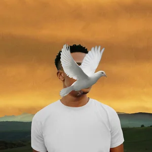 Move cover artwork