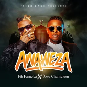 Anaweza cover art