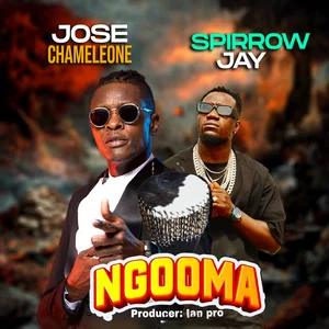 Ngooma cover art