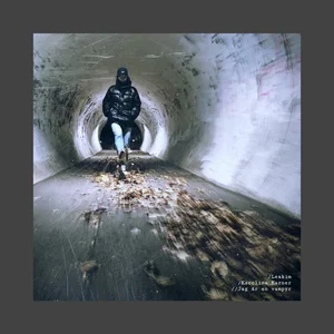 Jag är en vampyr — cover art