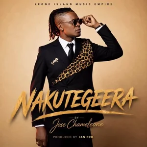 Nakutegeera cover art