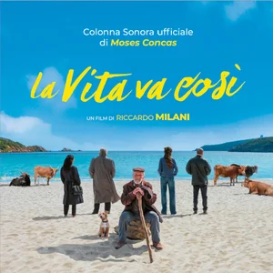 La vita va così cover