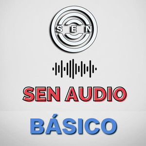 SEN Audio Básico - playlist by SEN Audio | Spotify