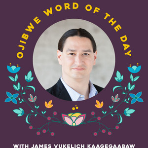 ojibwe word for tobacco Ojibwe Word of the Day