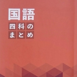 NN開成　これカンライト　社会用語集　前期抜粋 NN開成 これカンライト 社会用語集 前期抜粋 最新版】NN開成『これカン