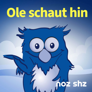 Ole schaut hin podcast cover