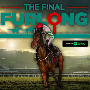 Dublin Racing Festival: Full, Uncensored Preview with 20/1, 10/1 ...
