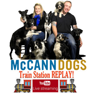 McCann Dog Training - Train Station Replay | Podcast on Spotify
