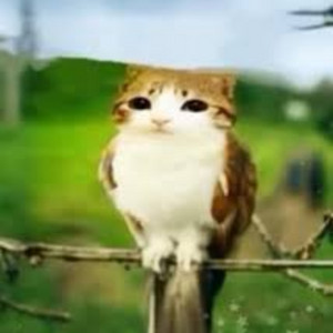 really cool sonic music