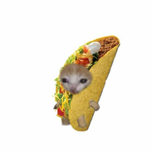 I JS SHOVED A TACO UP MY BADUSSY 🫩🫩🫩🫩✌️✌️✌️✌️ podcast cover