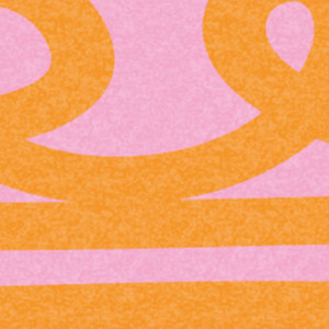 Elaine Narcizo — podcast