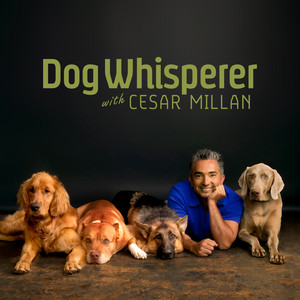Dog Whisperer with Cesar Millan - Season 5 | Podcast on Spotify