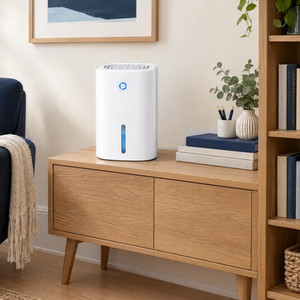 Drydon Dehumidifier Review USA, UK & Australia: Benefits, Cost and  Limitations - Riley Shaw | Podcast on Spotify
