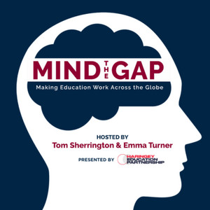 Mind the Gap: Making Education Work Across the Globe | Podcast on ...