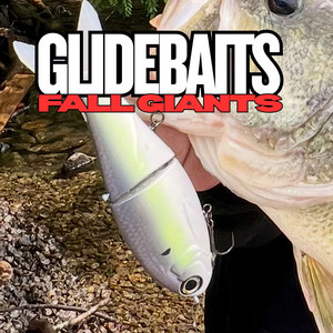 Top SUMMERTIME baits for catching bass in July and August - S1E21 - Net Man  Podcast | Podcast on Spotify