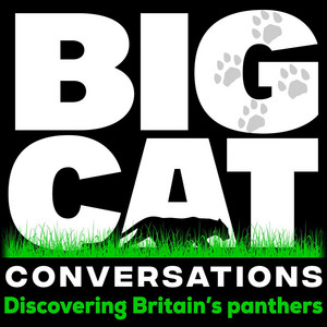 Big Cat Conversations podcast cover