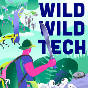 Wild Wild Tech | Podcast on Spotify