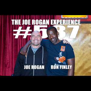 502 - Dr. Rhonda Patrick - The Joe Rogan Experience