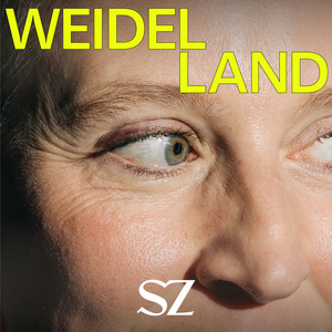 Weidelland - Die AfD und ihr Weg zur Macht podcast artwork
