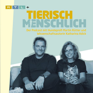 SP34: Janine vom Olivenbaum und die hohe Stirn - Setup Punchline | Podcast  on Spotify