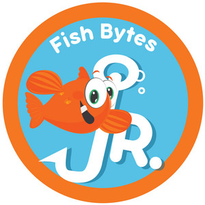 Fish Bytes Jr.: Bible Truths Illustrated so Preschool-Early Elementary Kids Can Understand and Do 