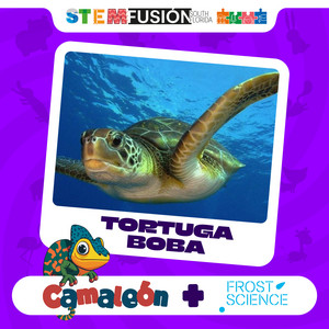 El retorno del #BluePanda ⛵️ - 2x01 - Somos naturaleza | El ...