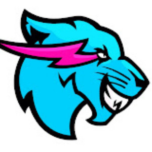 MrBeast Gaming