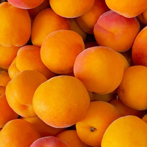 🍊Apricot's Corner🍊