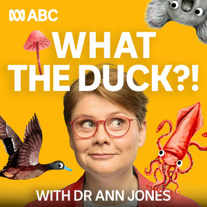 What The Duck?! podcast cover