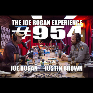 502 - Dr. Rhonda Patrick - The Joe Rogan Experience | Podcast on Spotify