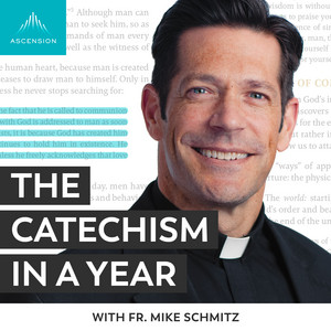 The Catechism in a Year (with Fr. Mike Schmitz) podcast cover