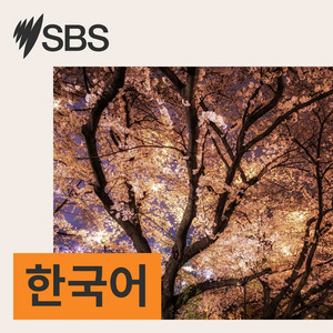 Blue Night Jonghyun 🌙✨️ 푸른밤 종현입니다 | Podcast on Spotify