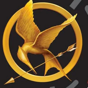 The Hunger Games Audio Book