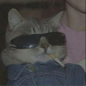 CatBro podcast cover