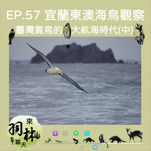 S6E12｜萬國津梁！東亞海上的琉球史與貿易藍圖- 宮說宮有理| Podcast