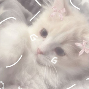 Ettaz Basement 🦢🎀💫